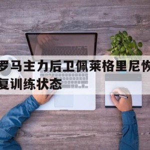 c7c7.app-关于罗马主力后卫佩莱格里尼恢复训练状态的信息