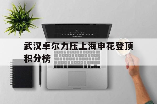 上海申花22武汉卓尔