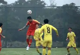 国内球队在大洲赛事中崭露头角表现亮眼的是 国内球队在大洲赛事中崭露头角表现亮眼的是